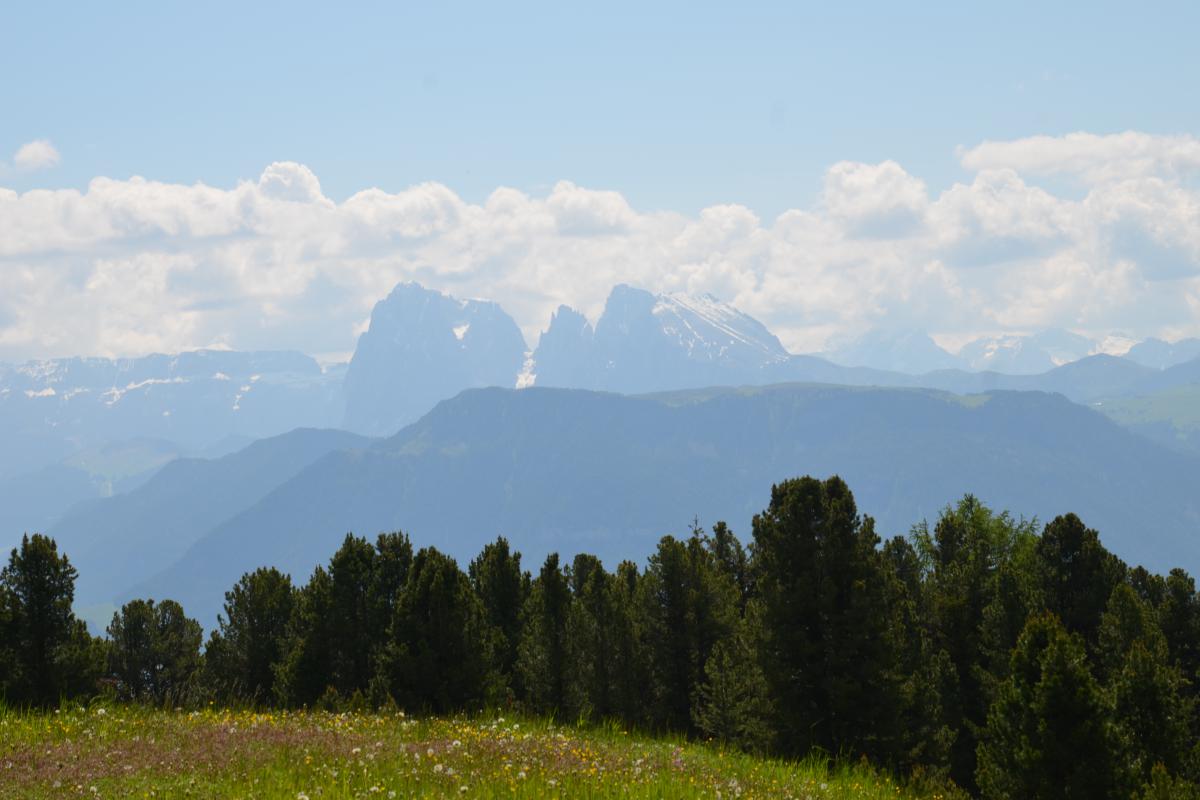 Platzer Alm 15.06.2023